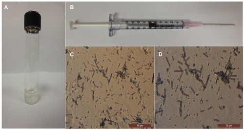 Figure 3 (A) The homogeneous mixture of poly(glycerol sebacate) (PGS) fibers suspended in phosphate-buffered saline solution after stirring for 2 hours with a magnetic stirrer at 37°C. (B) The PGS fibers loaded in a 1 mL syringe prepared for the injectable system. (C) The morphology of the PGS short fibers is retained after passing through the 18 G needle, at 40× magnification. (D) The morphology of the PGS short fibers after passing through the 18 G needle, at 60× magnification. Reprinted with permission Nanotechnology. Ravichandran R, Venugopal JR, Sundarrajan S, Mukherjee S, Sridhar R, Ramakrishna S. Minimally invasive injectable short nanofibers of poly(glycerol sebacate) for cardiac tissue engineering. Copyright 2012 IOP Publishing.Citation52