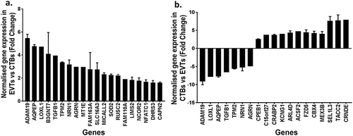 Figure 6. Bar graphs showing (a) the normalised mRNA fold change in extravillous trophoblasts (EVT) compared to cytotrophoblasts (CTB) of the top 20 significantly different genes associated with EMT or invasive cancer that were hypomethylated at CpG islands in promoters regions of EVT compared to CTB (b) the normalised mRNA fold change in CTB compared to EVT of the top 20 significantly different genes that were hypermethylated at CpG island in promoters regions of CTB compared to EVT.