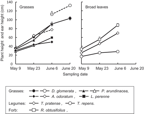 Figure 3 Plant height (solid line and symbols) and ear height (dashed line and open symbols) of the seven herbaceous plants (Dactylis glomerata L., Phalaris arundinacea L., Anthoxanthum odoratum L., Lolium perenne L., Trifolium pratense L., Trifolium repens L. and Rumex obtusifolius L.). Vertical bars represent standard deviation (n = 4 for D. glomerata, n = 3 for P. arundinacea and R. obtusifolius, and n = 2 for A. odoratum and T. repens).