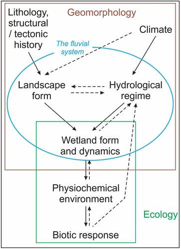 Figure 10. Conceptual model of wetland formation showing the role of geomorphological processes on wetland formation while incorporating the influence of prolonged flooding on the physiochemical and biotic characteristics of a wetland.