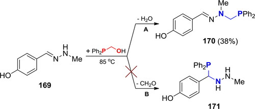 Scheme 103. Reaction of the methylhydrazone of 4-hydroxybenzaldehyde with Ph2PCH2OH.[Citation360]