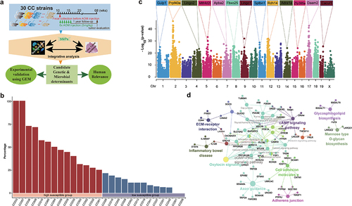 Figure 1. Identification of genetic variations and candidate genes associated with colorectal tumor susceptibility in CC mice.