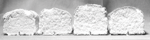 Figure 4 Photograph of eggless cakes. 1. Control; 2. 10 % WPC; 3. 20 % WPC; 4. 30 % WPC.