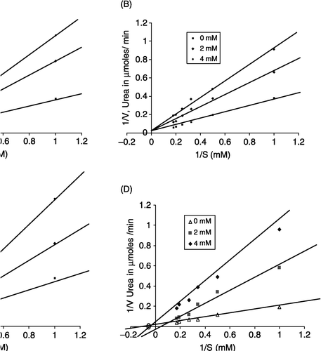 Figure 5 Lineweaver-Burk double reciprocal plot showing inhibition of buffalo liver arginase at 0, 2 and 4 mM concentrations. (A) ornithine, competitive. (B) leucine, competitive. (C) lysine, competitive. (D) valine, competitive. (E) isoleucine, mixed type.