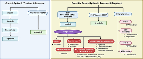 Figure 3 Current systemic treatment sequence and potential future treatment sequence with personalized approach. Image created with BioRender.com.