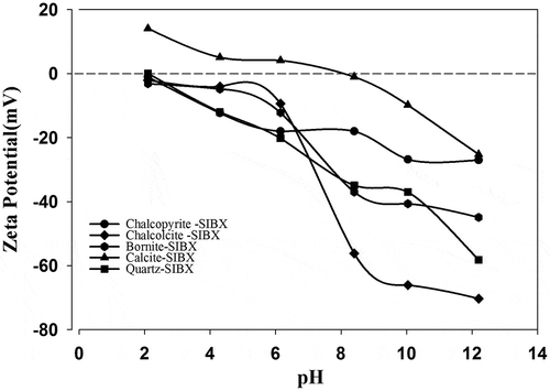 Figure 5. Zeta potentials of minerals as a function of pH at collector concentration 6 × 10−5 M.