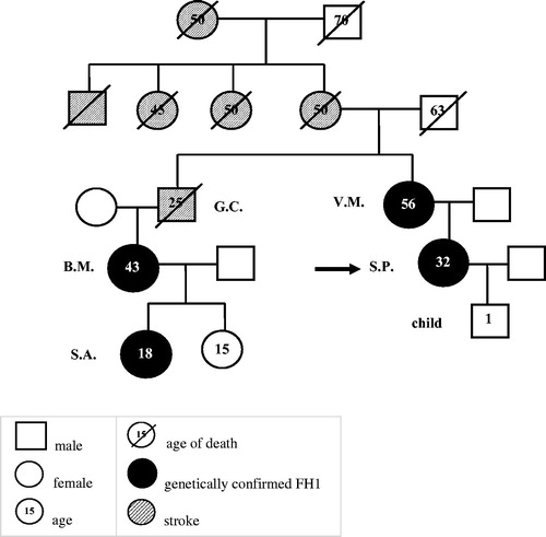 Figure 1. Family tree of the proband.
