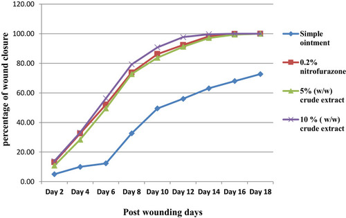 Figure 2 Progress of wound contraction of crude extract of leaves of A. schimperi in mice in an infected wound model.