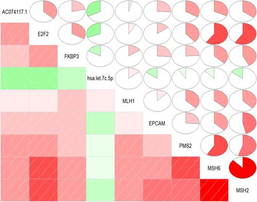 Figure 8 Pearson correlation analysis of genes expression in the SE-regulated prognostic ceRNA sub-network and DNA mismatch repair markers.