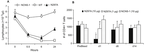 Figure 3: N297A caused a rapid and transient disappearance of blood lymphocytes. (A) C57/B6 mice were injected i.v. with 10 μg of N297A (▴), WT (□) or NCNS1 (◊) mAb. Blood samples from 5 mice per group were collected in EDTA coated tubes at indicated time points for total lymphocyte counts. (B) Different dose levels of N297A (10 μg, black bars, or 1 μg, white bars) or NCNS-1 (dotted bars) were injected i.v. into naïve C57/B6 mice at day 0 (n = 5). The mice were bled at the indicated time point, and CD4+ T cells were quantified by flow cytometry using TruCOUNT reagents; counts per μl are shown. An unpaired two-tailed t-test was used for statistical analysis. *p = 0.0002 for N297A (10 μg) vs. NCNS-1; # p = 0.019 for N297A (1 μg) vs. NCNS-1 at day 1. The differences at other time points were not statistically significant.