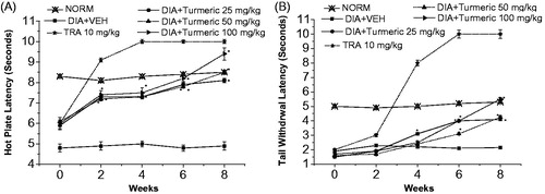 Figure 3. Effect of C. longa ethanolic extract (Turmeric) on the hot plate and tail withdrawal latencies in alloxan-treated mice. (A) Hot plate latency: (crossed-triangles, straight line) NORM, normal control mice. (Closed-squares, straight-line) DIA + VEH, diabetic animals treated with vehicle as control. (Open-circles, straight-line) DIA + turmeric 25 mg/kg, diabetic animals treated with turmeric 25 mg/kg. (Up-triangles, dashed-line) DIA + turmeric 50 mg/kg, diabetic animals treated with turmeric 50 mg/kg. (Right-triangles, dashed-dotted-line) DIA + turmeric 100 mg/kg, diabetic animals treated with turmeric 100 mg/kg. (B) Tail withdrawal latency: (Crossed-triangles, straight line) NORM, normal control mice. (Closed-squares, straight-line) DIA + VEH, diabetic animals treated with vehicle as control. (Open-circles, straight-line) DIA + turmeric 25 mg/kg, diabetic animals treated with turmeric 25 mg/kg. (Up-triangles, dashed-line) DIA + turmeric 50 mg/kg, diabetic animals treated with turmeric 50 mg/kg. (Right-triangles, dashed-dotted-line) DIA + turmeric 100 mg/kg, diabetic animals treated with turmeric 100 mg/kg. Data (n=7) are expressed as mean ± SEM. “*” p < 0.05 compared with control.