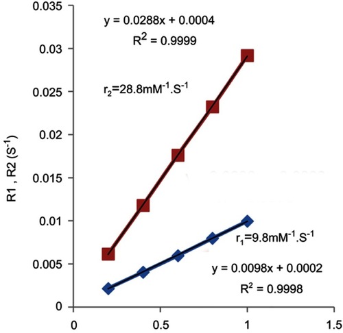 Figure 6 Relaxivity (R1 and R2) versus ultrasmall superparamagnetic iron oxide (USPIO)–polyethylene glycol (PEG)–Sialyl Lewis X (sLeX) concentration.