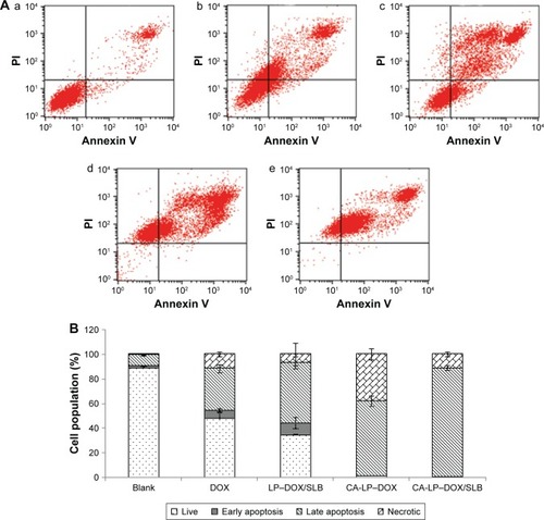 Figure 5 FACS analyses to illustrate apoptosis of (A) HepG2 cells in (a) untreated control, (b) DOX, (c) LP–DOX/SLB, (d) CA-LP–DOX, and (e) CA-LP–DOX/SLB. Both Annexin V Alexa Fluor 488 and PI negative cells are considered undamaged; Annexin V Alexa Fluor 488 positive and PI negative cells are early apoptotic; both Annexin V Alexa Fluor 488 and PI positive cells are late apoptotic; and Annexin V Alexa Fluor 488 negative and PI positive cells are either late apoptotic or necrotic. (B) The cell cycle distribution of untreated and treated cells. The numbers indicate the average fraction of cells in a given phase of the cell cycle as determined from at least three independent experiments (n=3).Abbreviations: CA-LP, DSPE-PEG-cholic acid-modified liposomes; DOX, doxorubicin; FACS, florescence-activated cell sorting; PI, propidium iodide; SLB, silybin.