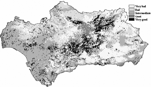 Figure 6 Quality category of each 1×1 km square of Andalusia according to the categories established in Table II.