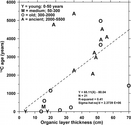 FIGURE 6. Correlation between 14C and organic layer thickness, with field-classified basin age