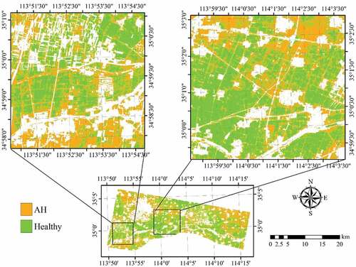 Figure 10. Spatial distribution of AH infected winter wheat derived by SVM with RapidEye imagery acquired on 7 May 2017. Areas in white represent non-wheat fields.