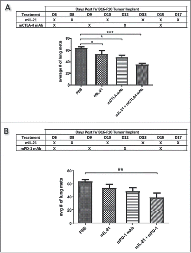 Figure 2. mIL-21 combined with mCTLA-4 or mPD-1 mAb in the IV B16-F10 lung metastatic melanoma model. (A) Antitumor activity of mIL-21 (75 μg/mouse) and mCTLA-4 mAb (9D9-mIgG2b; 300 μg/mouse), alone or in combination, on day 20 post-tumor cell implant. (B) Antitumor activity of mIL-21 (75 μg/mouse) and mPD-1 mAb (4H2-mIgG1; 300 μg/mouse), alone or in combination, on day 20 post-cell implant. Mean values +/− SEM are shown. Asterisks (*, **, ***) indicate p < 0.05, 0.01 or 0.001, respectively, for differences between groups by one way ANOVA. There were no other statistically significant differences between groups. Data are representative of results from two separate studies.