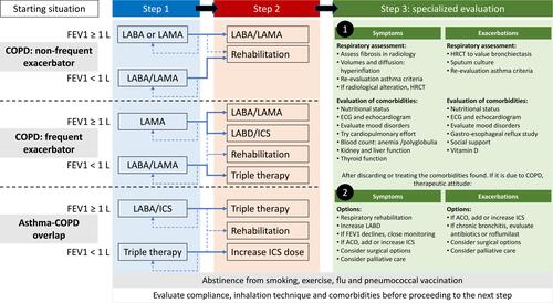 Figure 3 Complete escalation scheme for stable COPD.