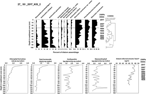 Figure 7. Diatom profile with CONISS zonation for core 27_XII_2017_KIS_2 from Lake Kissimmee. Lower panels show sedimented algal and cyanobacterial pigment profiles. Lower right panel presents diatom-based limnetic total P inferences.