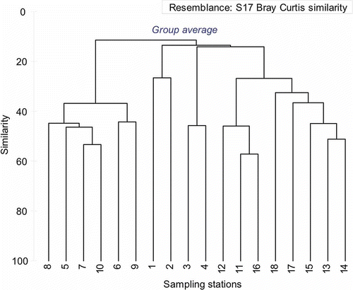 Figure 6. Bray–Curtis similarity cluster analysis based on nematode species abundance at each station location.