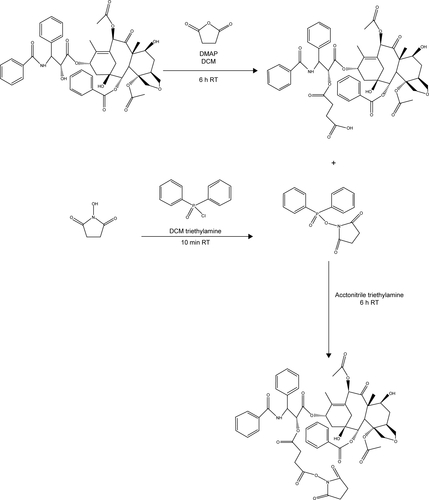 Figure S4 Schematic synthesis of PTX-NHS.Abbreviations: h, hours; min, minutes; PTX, paclitaxel; NHS, N-hydroxysuccinimide; DMAP, 4-dimethylaminopyridine; RT, room temperature; DCM, dichloromethane.