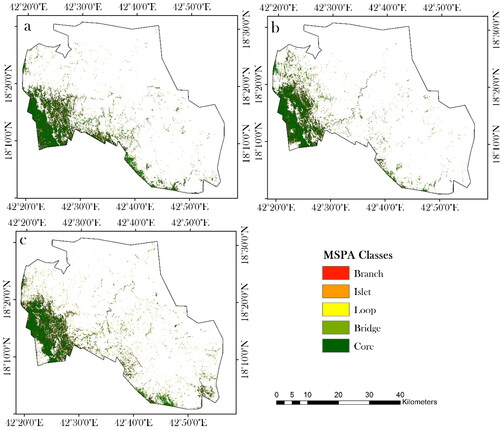 Figure 5. MSPA of the vegetation demonstrating the evolution of vegetation morphology in terms of core, bridge, loop, islet, and branch structures for (a) 1990, (b) 2000, and (c) 2020.