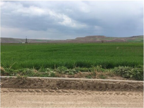 Figure 3. Exposed pipeline, a drilling rig, and fields. (Author’s photo).