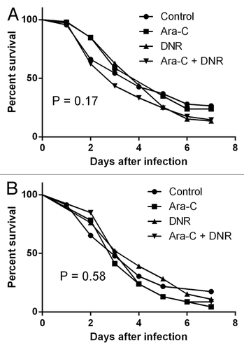 Figure 2. Survival rates of Toll-deficient flies infected with one representative isolate of C. albicans (A) and C. tropicalis (B) previously grown in liquid medium in the presence or not of the antineoplastic drugs cytarabine (Ara-C) and daunorubicin (DNR). Data shown are the means of three independent experiments (n = 23 flies/group).