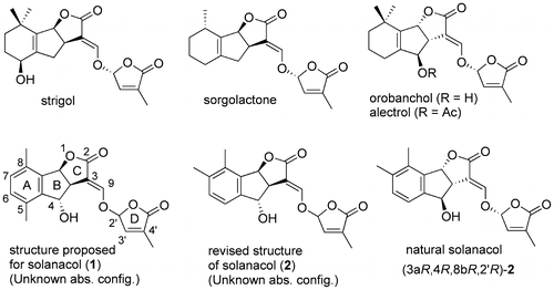 Fig. 1. Structures of strigolactones.