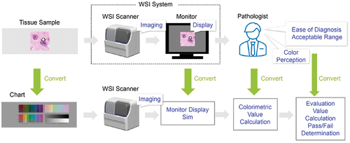 Figure 2. Configuration of the objective evaluation method for WSI system color reproduction.