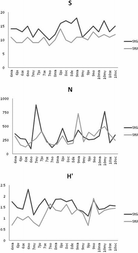 Figure 5. Epifaunal community descriptors (average values) at the two sites (site G: StG; site U: StU): S, number of species; N, abundance (as N ind g DW−1), and H’, diversity. March 2006: 6ma; June 2006: 6ju; etc.