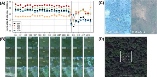 Figure 2. Example of visual interpretation for disturbance type/land cover classification using (A) spectral indices derived from Landsat time series data, (B) RGB image chips of Landsat time series data, and (C) high-spatial-resolution data from Google Earth Pro (14.295°N, 104.369°E). Example of visual interpretation for tree canopy cover using (D) 3 × 3 regular spaced grid points in 30 m pixels on high-spatial-resolution data from Google Earth Pro (14.406°N, 106.611°E).