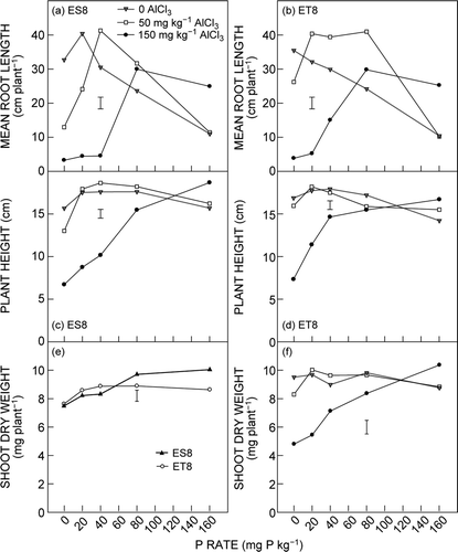 Figure 2.  Effect of Al and P addition on mean root length of (a) ES8 and (b) ET8, plant height of (c) ES8 and (d) ET8, and shoot dry weight (e) under G × P interaction and (f) under Al × P interaction. Data are average values of ES8 and ET8 after 8 d of growth. The vertical bar represents the LSD (P = 0.05) for the Al × P × G interaction for (a) to (d)