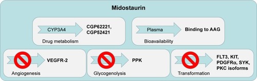 Figure 2 Schematic showing the multitargeted inhibitory effects and human protein binding properties of midostaurin and its major metabolites.