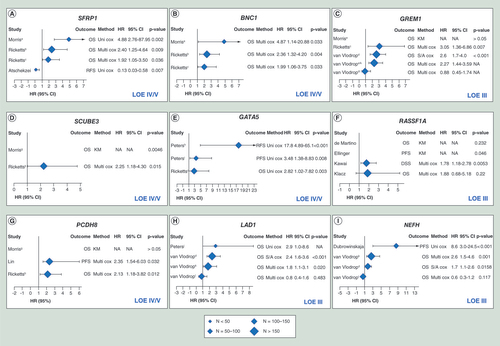 Figure 4. Forest plots of prognostic methylation markers that are independently validated in different studies.Forest plot of hazard ratios of patient survival associated with methylation of SFRP1 (A), BNC1 (B), GREM1 (C), SCUBE3 (D), GATA5 (E), RASSF1A (F), PCDH8 (G), LAD1 (H) and NEFH (I).The x-axis shows the HR; the diamonds denote the HR and the horizontal lines represent 95% confidence intervals (CIs). The level of evidence for each marker is indicated in the lower right-hand corner. aMorris 2010; bRicketts 2014, Infinium 27K cohort; cRicketts 2014, Infinium 450K cohort; dvan Vlodrop 2017, TCGA series; evan Vlodrop 2010, population-based series; fvan Vlodrop 2010, hospital-based series; gMorris, 2011; hPeters, 2014; iPeters 2012; jPeters, 2014; kvan Vlodrop 2017, population-based series; lvan Vlodrop 2017, hospital-based series.95% CI: 95% confidence interval; DSS: Disease-specific survival; HR: Hazard ratio; KM: Kaplan–Meier curve; LOE: Level of evidence; Multi Cox: Multivariate Cox regression analysis; NA: Not available; OS: Overall survival; PFS: Progression-free survival; RFS: Recurrence-free survival; S/A Cox: Sex and age adjusted Cox regression analysis; Uni Cox: Univariate Cox regression analysis.