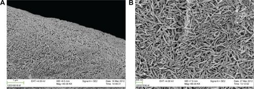 Figure 4 SEM photographs of hydroxyapatite-coated PEEK in two magnifications: 40K (A) and 80K (B).Abbreviations: SEM, scanning electron microscopy; PEEK, polyether ether ketone.