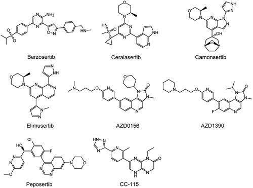 Figure 6. Structures of PIKK family members ATR, ATM, and DNA-PKcs inhibitors.