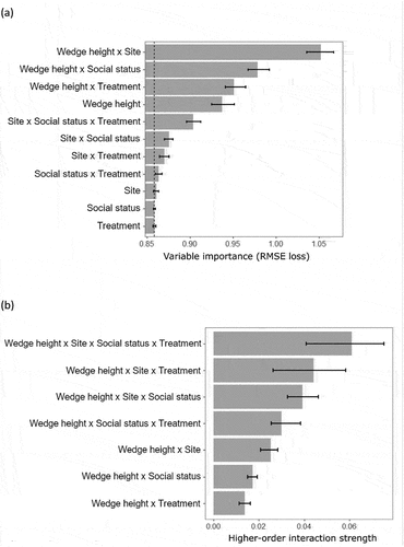 Figure 3. Variable importance for check area (a) and higher-order interaction strength (b) estimated from the Random Forest analysis of longitudinal data from 144 Eucalyptus nitens trees. The segmented vertical dashed line (reference accuracy) represents the root mean square error (RMSE) of the full model using the original data (unshuffled). The higher the value from the dash line, the more important the term. The bars show the 95% confidence interval after 1000 permutations; when the lower interval does not overlap the reference accuracy, the model term was considered important. Higher-order interactions were calculated based on Friedman’s H statistic of 100 model runs. Main effects are wedge height and site, tree social status, and treatment (thinned/unthinned). The composite terms are the two-, three- and four-way interactions between these main effects