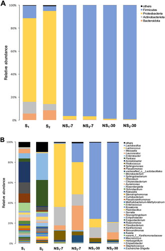 Figure 3. The relative abundance of bacterial community at the phylum level (A) and the genus level (B). S1, sweet sorghum harvested at the heading stage; S2, sweet sorghum harvested at hard dough stage; NS1, natural fermentation of sweet sorghum harvested at the heading stage; NS2, natural fermentation of sweet sorghum harvested at the hard dough stage.