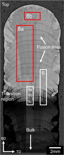 Figure 5. Overview optical macrograph of the etched Ti-5553 sample in a transverse (BD-TD) cross section, showing the areas examined in Figures 6–9.