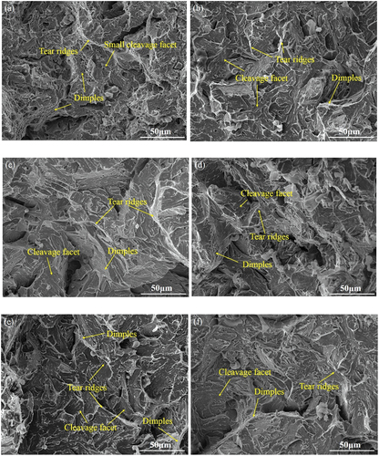 Figure 12. Micro-morphologies of crack propagation regions derived after fracture at −40°C in the case of (a) BM and (b-f) CGHAZ test specimens produced using heat inputs of (b) 10, (c) 15, (d) 20, (e) 30, and (f) 50 kJ/cm.