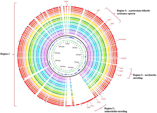 Figure 3 Sequence comparison of 18 CRKP strains plasmids with pLVPK virulence plasmids. Sequence comparison revealed that region 1 of pLVPK plasmids was very similar to 18 blaNDM-1 and blaKPC-2 co-occurrence strains. Virulence factors, such as iroBCDN, iucABCD, iutA, and rmpA2, and a potassium tellurite resistance operon, such as terA, terE, terY, located on regions 2 and 3, respectively. The outermost circle annotates the genetic information, and different plasmids are assigned different colors.