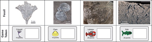 Figure 2. Photographs of Ya Ha Tinda Lagerstätte fossils with their associated game tokens.