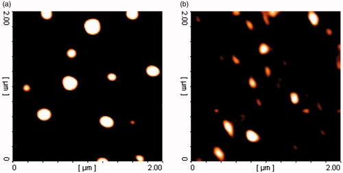 Figure 5. AFM images of green (a) and chemically (b) synthesized AgNPs.