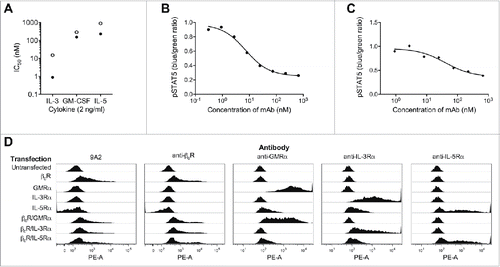 Figure 1. 9A2 inhibits IL-3/GM-CSF/IL-5 induced TF-1 proliferation and STAT5 phosphorylation, and binds specifically to the human βc receptor. (A) TF-1 cells were starved of growth factor for 18 h and then treated with test antibodies BION-1 (○) and 9A2 (•) for 30 min prior to the addition of cytokines (IL-3, GM-CSF, IL-5) for 72 hr. Proliferation was assayed by [H3]-thymidine incorporation and the IC50 values plotted. TF-1-bla cells were starved of growth factor for 18 hours and then treated with 9A2 for 30 minutes prior to the addition of cytokines. For pStat5 assays TF-1-bla cells were incubated with (B) IL-3 (10 ng/ml) or (C) GM-CSF 3 ng/ml) at 37°C for 5 h and FRET B/G substrate was added for 2.5 hours prior to reading the output on an Envision plate reader. Histograms show mean and standard error of technical replicates. Representative experiments are shown. (D) FreeStyle™ 293-F cells were transiently transfected with cDNAs encoding the βcR, the GMRα, the IL-3Rα and the IL5Rα and analyzed by flow cytometry. Control antibodies to the human βcR, GMRα, the IL-3Rα or the IL-5Rα confirmed expression of these proteins in the transfected cells.