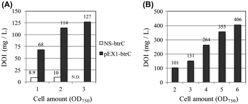 Figure 3. Production of 2-deoxy-scyllo-inosose (DOI) in BtrC-expressing strains. (A) S. elongatus strains containing NS-btrC and pEX1-btrC were grown at 30 °C under standard lighting (40 μmol photon m−2 s−1) while bubbling air through the medium. When the optical density (OD750), which indicates the number of cells in the culture, reached the indicated value, the supernatant of the culture was harvested, and the amount of DOI was determined by HPLC. (B) As the S. elongatus PCC 7942 strain containing the pEX1-btrC plasmid was cultured, the light intensity was increased in stepwise increments (75–400 μmol photon m−2 s−1, see Materials and Methods). At each step, the supernatant of the culture was harvested, and the amount of DOI was determined.