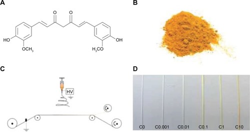 Figure 1 Curcumin incorporation in PDO electrospun filaments.Notes: (A) Curcumin molecular structure, (B) curcumin powder, (C) sketch representing the electrospinning process using a thin wire to collect the continuous filaments (orange), (D) gross appearance of the filaments showing the gradient of colors resulting from the different amounts of curcumin incorporated in the electrospinning solution: 0%, 0.001%, 0.01%, 0.1%, 1%, and 10% (weight to weight ratio of PDO).Abbreviations: PDO, polydioxanone; HV, high voltage.