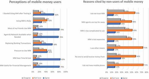 Figure 4. Perception of mobile money users and reasons cited by non-users of mobile money.