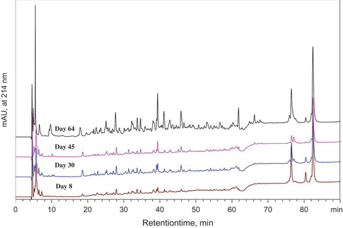 Figure 3. RP-HPLC profile of water-soluble nitrogen fraction of Bouhezza raw goat’s milk cheese during ripening. Eluted at 214 nm (arbitrary units).