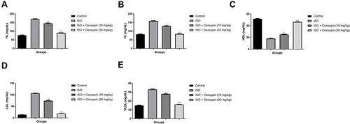 Figure 5 Effect of Gossypin on the lipid parameters of ISO induced MI rats. (A) TG, (B) TC, (C) HDL, (D) LDL and (E) VLDL. Values are presented as mean± standard error mean (SEM). Where *P<0.05, **P<0.01 and ***P<0.001 were consider as significant, more significant and extreme significant. All group contains 6 rats.